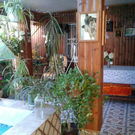 Guest house Zelinskogo *