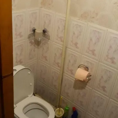 Zelinskogo Guest house *