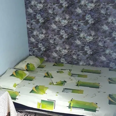 Guest house Zelinskogo